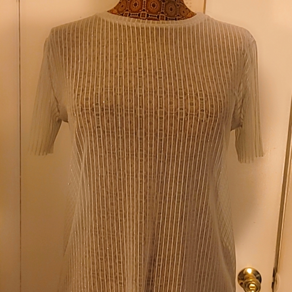 See thru  Zara